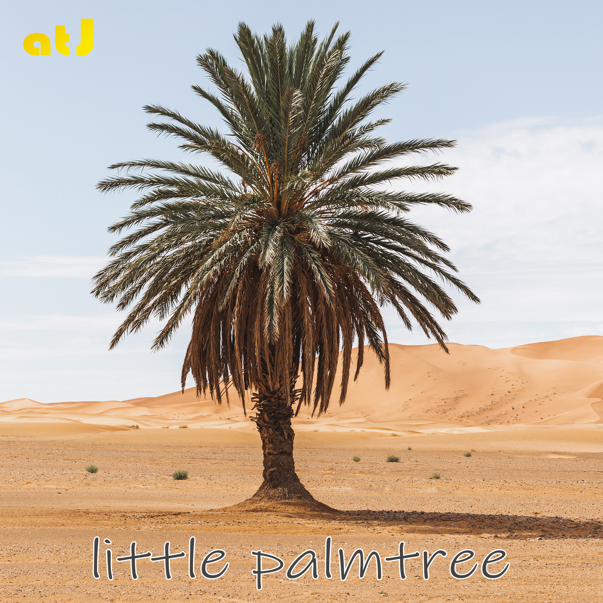 little palm tree