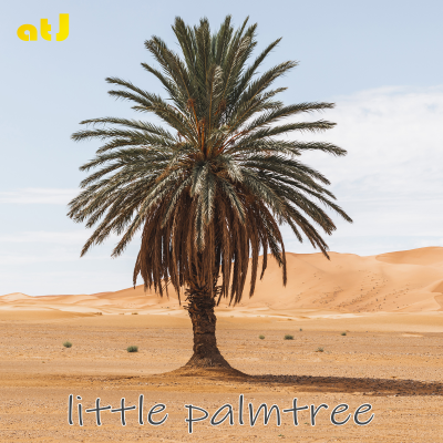 ATJ - little palm tree